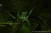 embryovideoshoot03_small.jpg