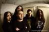 embryovideoshoot73_small.jpg