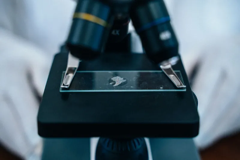 When Development Stops: Understanding Embryo Arrest and What It Can Tell You About Your Reproductive Health