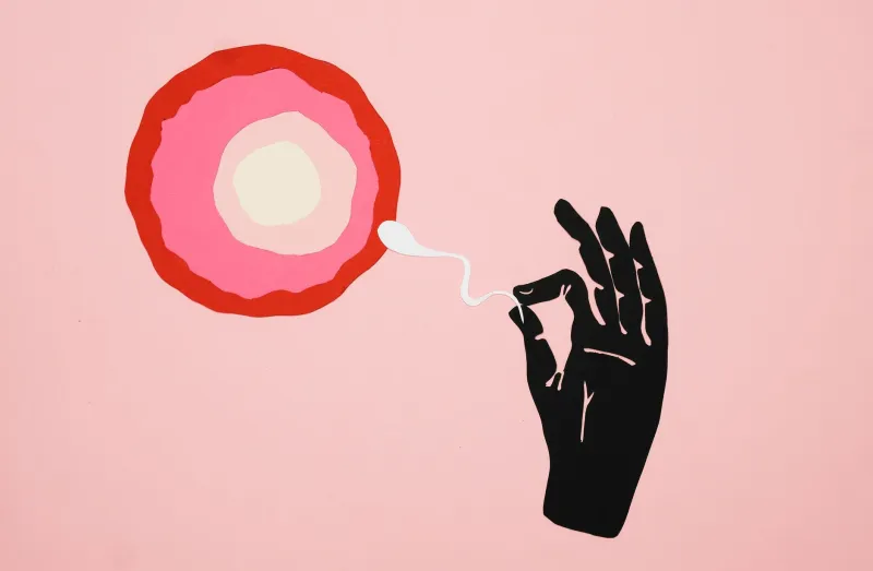 Before the Egg Drops: The Pre-Ovulation Maturation Window That May Be Reshaping IVF Timing