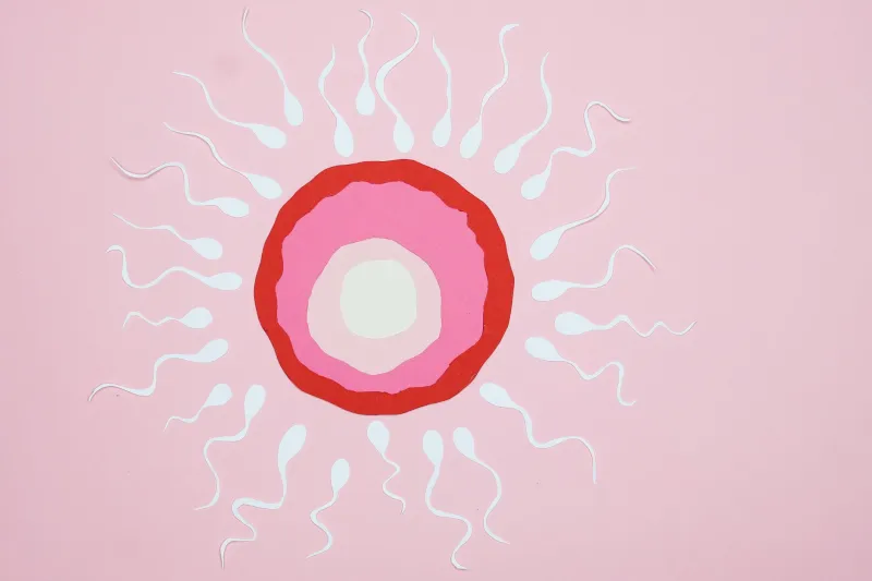 One Embryo, Two Outcomes: The Science of Individual Uterine Receptivity and Why Standard Timing May Not Be Enough